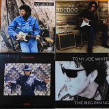 Tony Joe White - Like Placid Blues / Hoodoo / Snakey / The Beginning