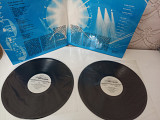 Набор из 2 пластинок Pink Floyd “Delicate sound of thunder”