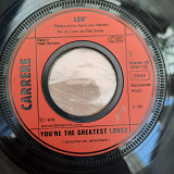 Luv' – You're The Greatest Lover / Everybody's Shakin' Hands On Broadway - 1978