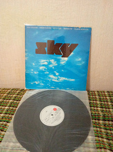 Пластинка виниловая, винил SKY