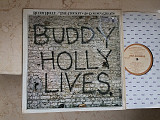 Buddy Holly & The Crickets ‎– 20 Golden Greats ( USA ) LP