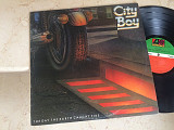 City Boy – The Day The Earth Caught Fire ( USA ) LP