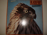 BLACKFOOT-Marauder 1981 USA Southern Rock, Blues Rock, Hard Rock