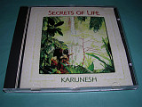 Karunesh – Secrets Of Life