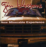 Gin Blossoms – New Miserable Experience ( USA )
