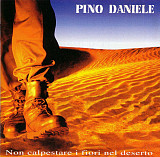 Pino Daniele ‎– Non Calpestare I Fiori Nel Deserto (made EEC) CD