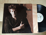 Don Henley ( Eagles ) ‎– Building The Perfect Beast ( USA ) LP