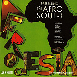 CD Afro-Soultet ‎- Afrodesia