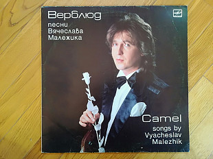 Верблюд-Песни Вячеслава Малежика (4)-Ex.-Мелодия