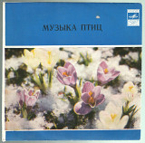 EP "Музыка птиц", композиция П. Княжевича, "Мелодия", 1980 год