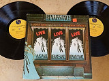 Renaissance ‎– Live At Carnegie Hall (USA) (2xLP) LP