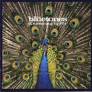 The Bluetones – Expecting To Fly ( USA )