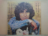 Виниловая пластинка George Harrison – Thirty Three & 1/3 1976 ОТЛИЧНАЯ