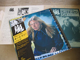 Gregg Allman Band ‎– Playin' Up A Storm (Japan ) LP