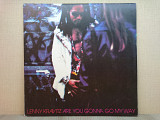 Виниловая пластинка Lenny Kravitz – Are You Gonna Go My Way ИДЕАЛЬНАЯ!