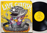 Catfish - Live Catfish - featuring Bob Hodge