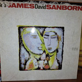 BOB JAMES/DAVID SANBORN ''DOUBLE VISION'' LP