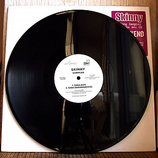 Skinny ‎– Sampler (12", Promo)