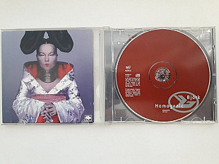 Bjork Homogenic