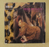 Dead Or Alive - Sophisticated Boom Boom (Япония, Epic)