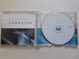 Incognito Future remixed