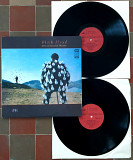 Pink Floyd - Delicate Sound Of Thunder - 1988. (2LP). 12. Vinyl. Пластинки.