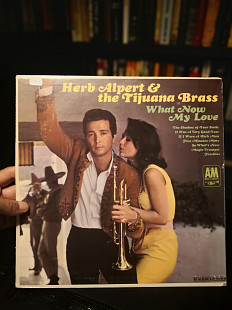 Herb Alpert and Tijuana Bras, 1966 год