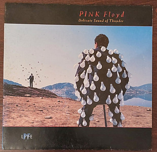 Pink Floyd – Delicate Sound Of Thunder