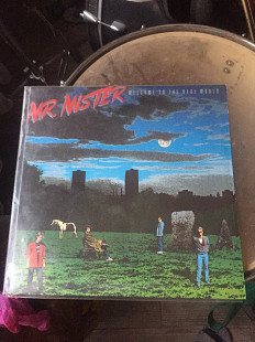Mr.Mister.Welcome to the real world. Nm/Nm.( без EXW).