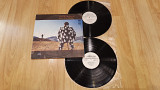 Pink Floyd (Delicate Sound Of Thunder) 1987. (2LP). 12. Vinyl. Пластинки.