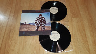 Pink Floyd (Delicate Sound Of Thunder) 1987. (2LP). 12. Vinyl. Пластинки.