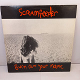 Screamfeeder – Burn Out Your Name LP 12" (Прайс 37507)