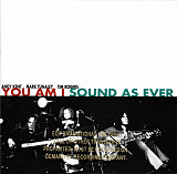 You Am I – Sound As Ever ( USA )