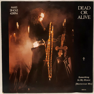Dead Or Alive - Something In My House - 1986. (EP). 12. Vinyl. Пластинка. Holland.