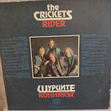THE CRICKETS RIDER LP