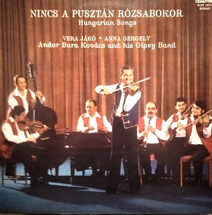 Andor Bura Kovács And His Gipsy Band – Nincs A Pusztán Rózsabokor