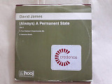 David James (Always)Permanent state