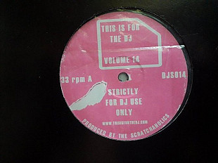 ThIs is for the DJ volume 14 Strictly for DJ use only