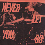 Andhim – Never Let You Go - DJ VINYL