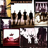 Hootie & The Blowfish ‎– Cracked Rear View (made in USA)
