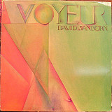 David Sanborn ‎– Voyeur (made in USA)