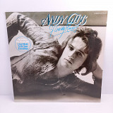 Andy Gibb – Flowing Rivers LP 12" (Прайс 37186)