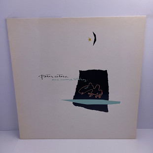Peter Cetera – One More Story LP 12" (Прайс 38432)
