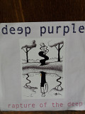 Deep Purple Rapture of the Deep US ( ? )