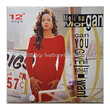 Meli'sa Morgan ‎– Can You Give Me What I Want ( USA )