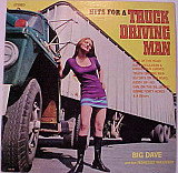 Big Dave And The Tennessee Tailgaters ‎– Hits For A Truck Driving Man ( USA ) Bluegrass LP