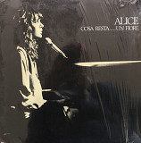 Alice - “Costa Resta…Un Fiore”