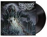 Frozen Soul - Glacial Domination Black Vinyl Запечатан