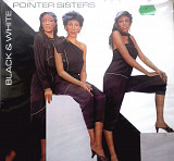 Pointer Sister - Black & White