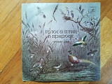Голоса птиц в природе-Средняя Азия (5)-VG+, Мелодия